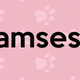 Illustration for article titled iNeko Atsume/i Cats, Ranked